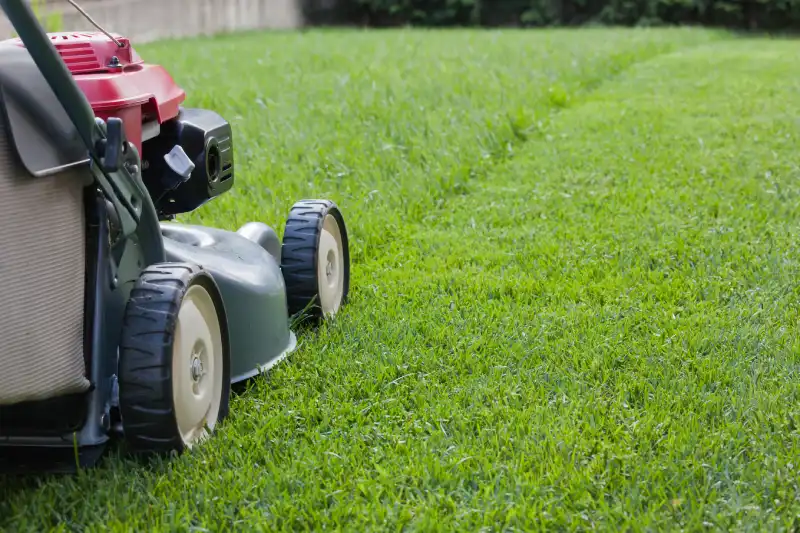 Professional Lawn Mowing Services in Aloha, OR 