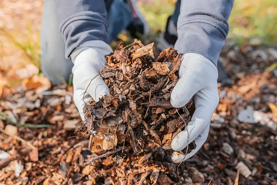 Reliable Mulching Service in Aloha, OR 