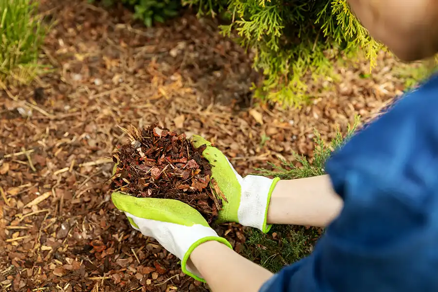 Professional Mulching Service in Aloha, OR 