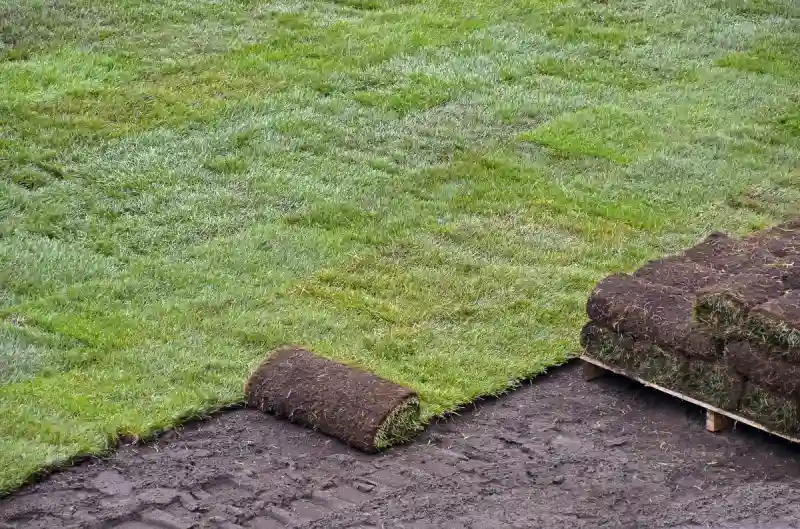 Reliable Sod Installation Service in Aloha, OR 