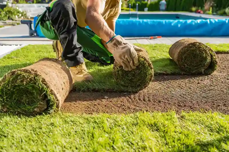 Professional Sod Installation Service in Aloha, OR 