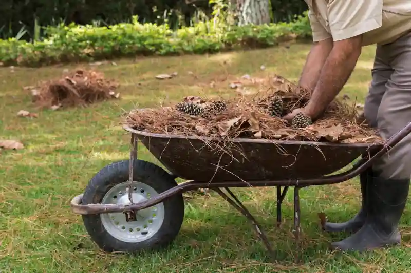 Professional Yard cleanup Service in Aloha, OR 