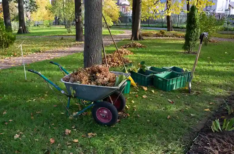 Reliable Yard cleanup Service in Aloha, OR 